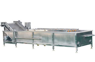 专业桃子清洗机全面解析 崇左与诸城洗刷刷机械的技术与应用